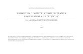 Proyecto Planta Procesadora.