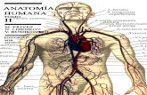 Anatomia Humana Tomo2 Archivo1