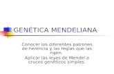 gENETICA MENDELINA (2)