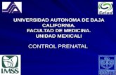 3.- Control Prenatal