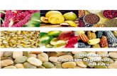 Mercado de Productos Organicos Del Peru