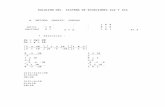 Solucion Del Sistema de Ecuaciones 2x2 y 3x3 Ramses