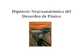Neuroanatomia Del Panico