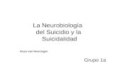 Neurobiologia Del Suicidio