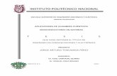 APLICACIONES DE ALAMBRES CUÁNTICOS SEMICONDUCTORES  EN BATERÍAS