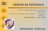 Seminario Patologia Especial 2 Segmento - Cancer de Testiculo