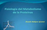 Fisiología del Metabolismo de la Proteínas