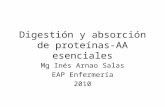 digestión y absorción de AA- AA esenciales 10