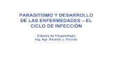 Clase 1309 Parasitismo  - Infección