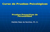Pruebas Proyectivas 2010-2
