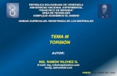 Presentacion Prof. VILCHEZ-ToRSION