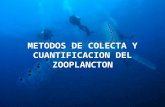 Metodos de Colecta de Zooplancton