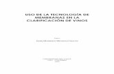 2010 Mendoza - Uso de la tecnología de membranas en la clarificación de vinos