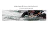 Diario de Construcción de un Kayak Tradicional Groenlandés