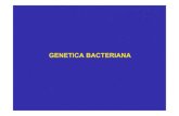 Clase 7, Genetica bacteriana