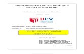 Examen Parcial Doctorado UCV Cusco Grupo UNSAAC