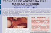 Terapeutica Farmacologica - Anestesia - Maxilar Inferior 1° Parte - CD Carlos f Ruiz Laos