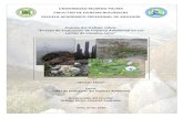 Trabajo Flora: Evaluación del impacto Ambiental en las Lomas de Lúcumo