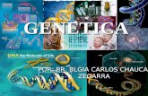 EXPOSICION GENETICA