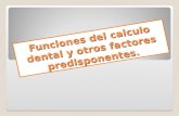 Funciones del calculo dental y otros factores predisponentes