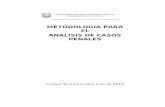 METODOLOGIA DE ANALISIS DE CASOS PENALES