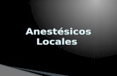 Mecanismos de Accion de Los Anestesicos Locales