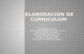 ELABORACION DE CURRICULUM (2)