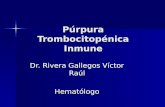 DR. RIVERA Púrpura Trombocitopénica Inmunológica