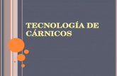 TECNOLOGÍA DE CÁRNICOS