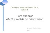 amfe_matriz-de-priorizacion (1)