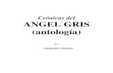 LIBRO - Cronicas Del Angel Gris - Alejandro Dolina