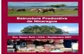 Estructura Productiva Nicaragua