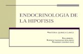 ENDOCRINOLOGIA DE LA HIPOFISIS EXPO