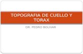 12.) Topografía del Cuello y Topografía del Tórax - Prof. Pedro Bolívar