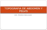 13.) Topografía de Abdomen y Pélvis - Prof. Pedro Bolívar