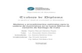 Trabajo de Diploma (Departamento de Matemática Universidad de Oriente, Cuba)