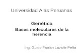 GENETICA - BASES MOLECULARES DE LA HERENCIA