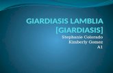 GIARDIASIS LAMBLIA