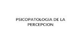 Psicopatologia de La Percepcion