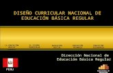 Diseno Curricular EBA Peru