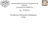 SxTORCH2.1 Prudencio Miranda Velazquez FacMed UNAM