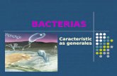 Características bacterias