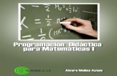 Alvaro Molina Ayuso-Programacion Didactica Para as I (1)