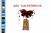 Gas Sulfidrico - h2s