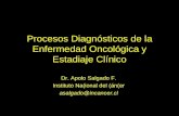 Procesos Diagnósticos de la Enfermedad Oncológica y Estadiaje