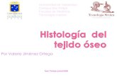 Histologia Del Tejido Oseo