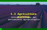 AGRICULTURA MODERNA - ORIGEN DE PENSAMIENTO AGROECOLÓGICO