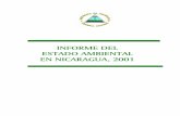 Prirmer Informe Estado Del Ambiente 2001