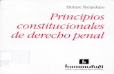 Principios Constitucionales de Derecho Penal - Enrique Bacigalupo