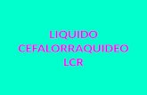 Liquido Cefalorraquídeo (LCR)
